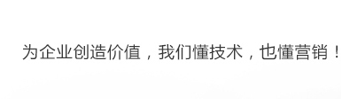 河北网站推广